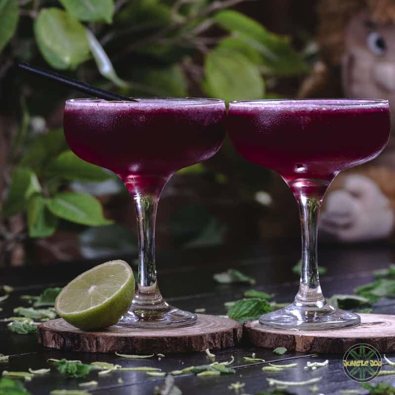 Cocktails at Jungle Joy Malta