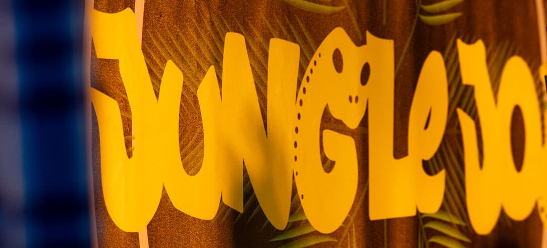 Pinta Beer Festival at Jungle Joy