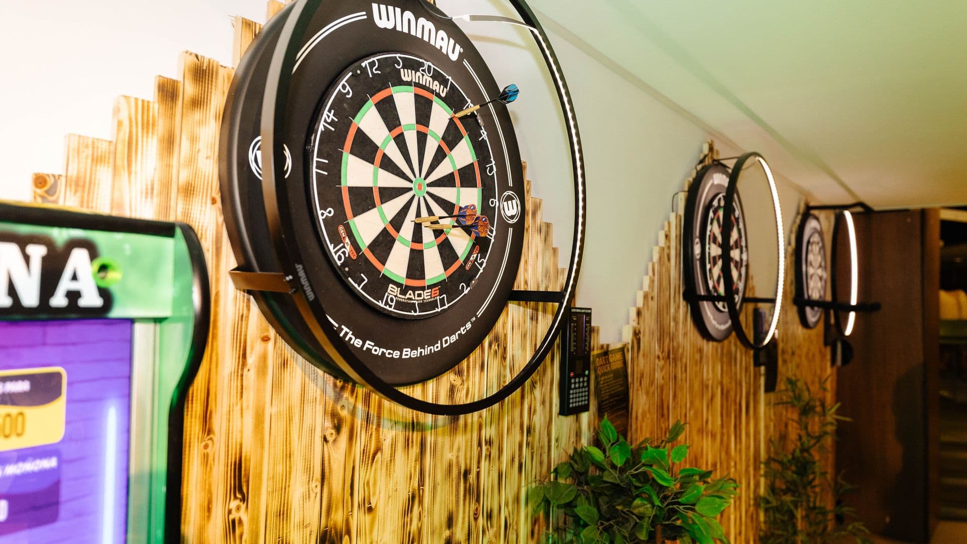Close-up of professional Winmau darts at The Room, St Julians Malta